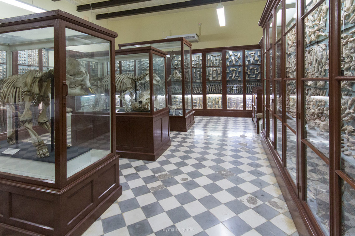 Ghar Dalam Museum
